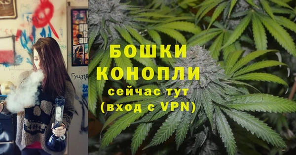 амф Бородино