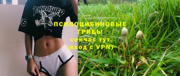 сатива Богородск