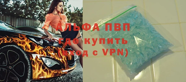 амф Бородино