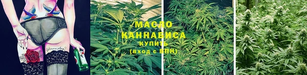 гашик Богданович