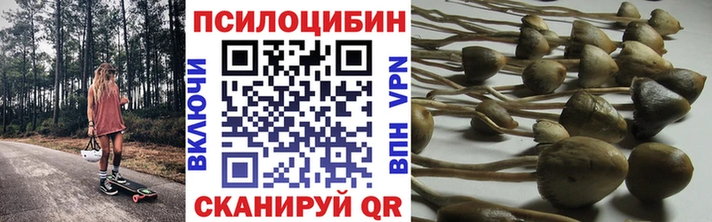 Псилоцибиновые грибы мицелий где найти наркотики Фурманов